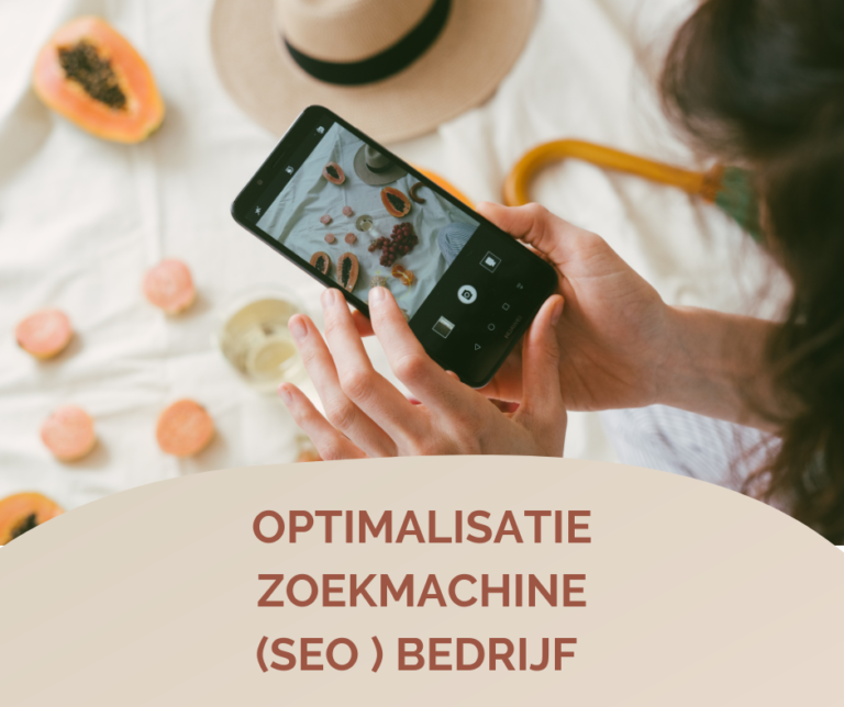 Optimalisatie zoekmachine (SEO ) bedrijf